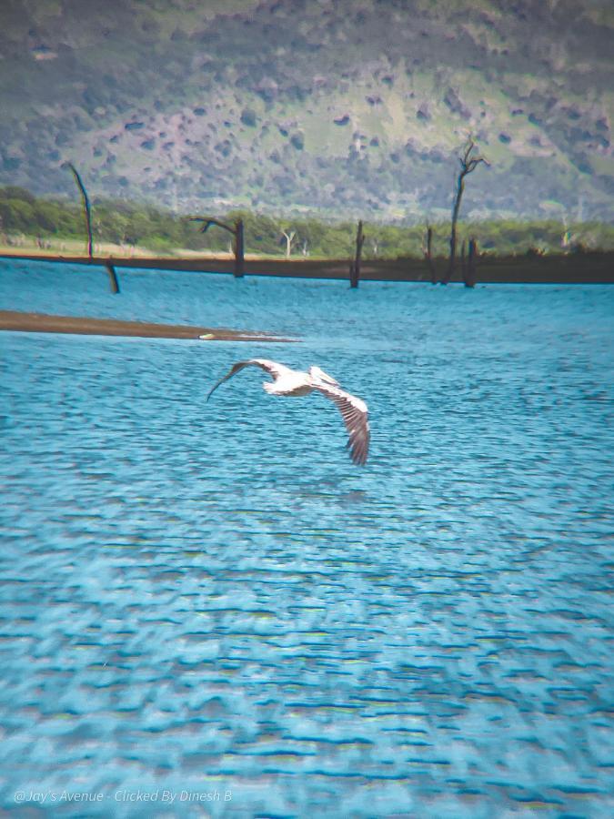Jay'S Avenue Otel Udawalawe Dış mekan fotoğraf